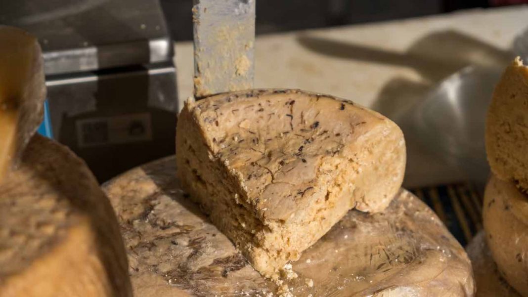 Casu Marzu Il Formaggio Sardo Pi Pericoloso Scopri Perch