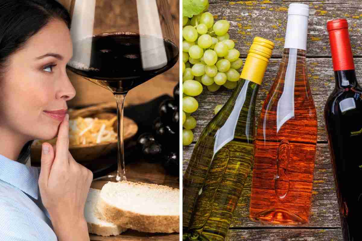 Differenza tra vino biologico e naturale