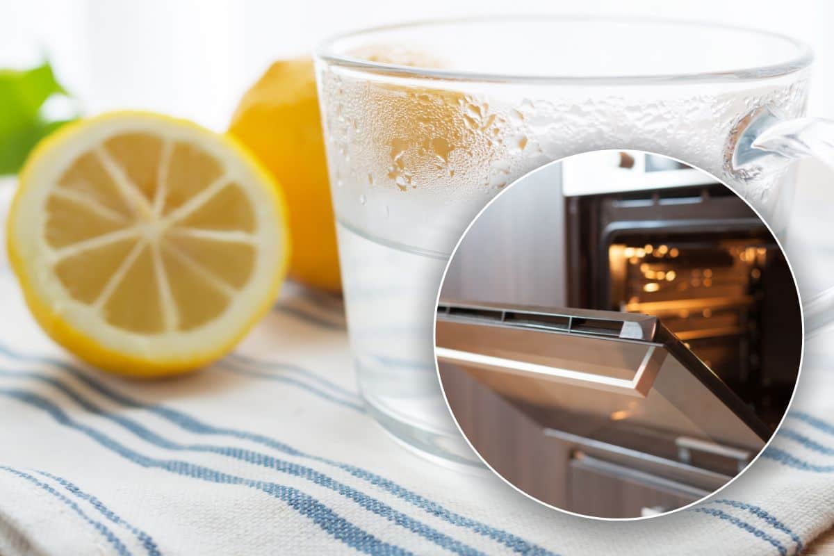 come pulire il forno con acqua e limone