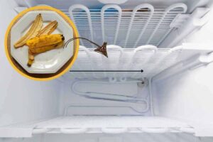 mettere bucce banane in freezer