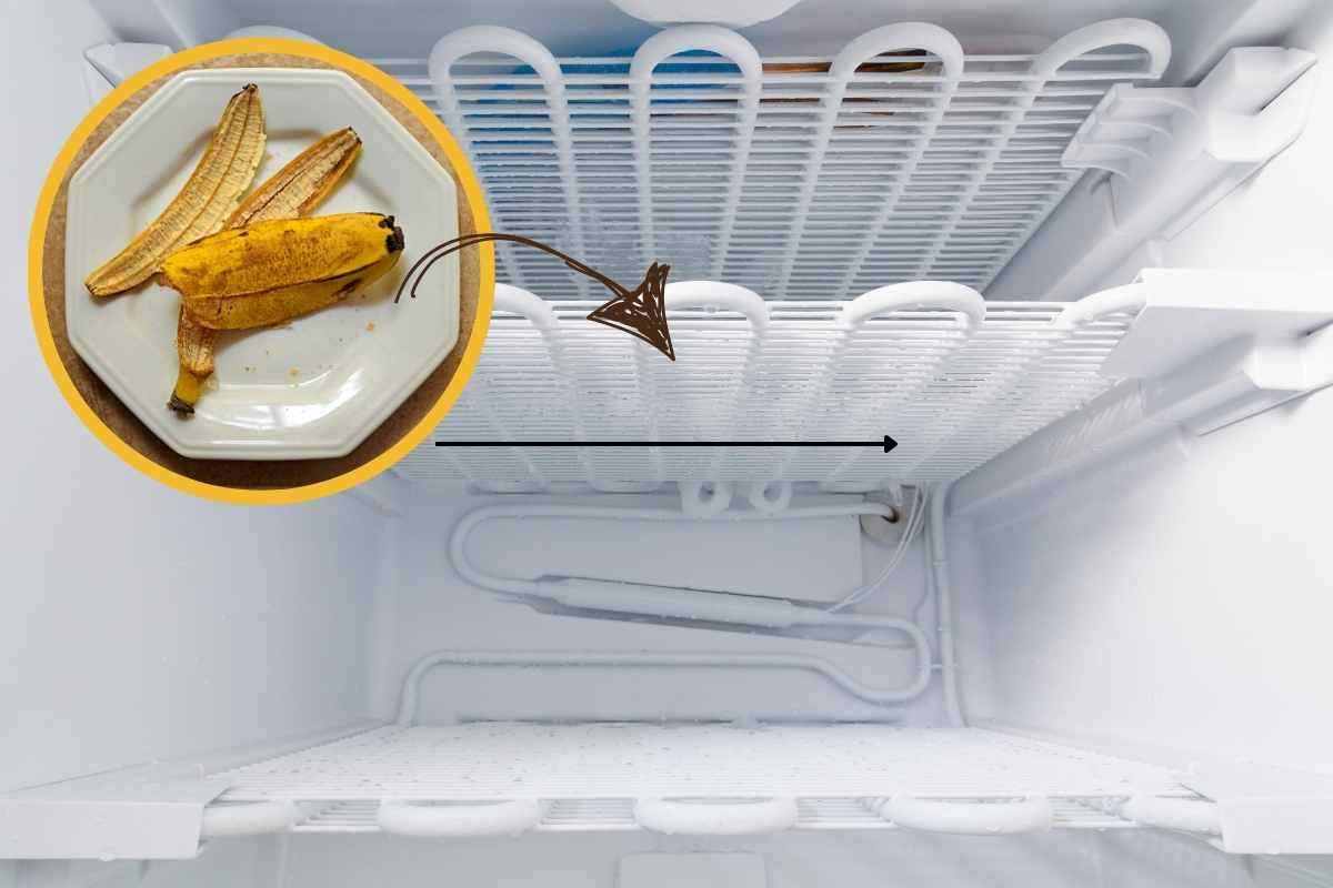 mettere bucce banane in freezer