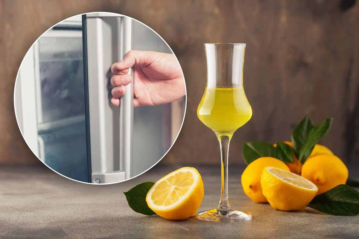 Perchè mettere il limoncello in freezer?