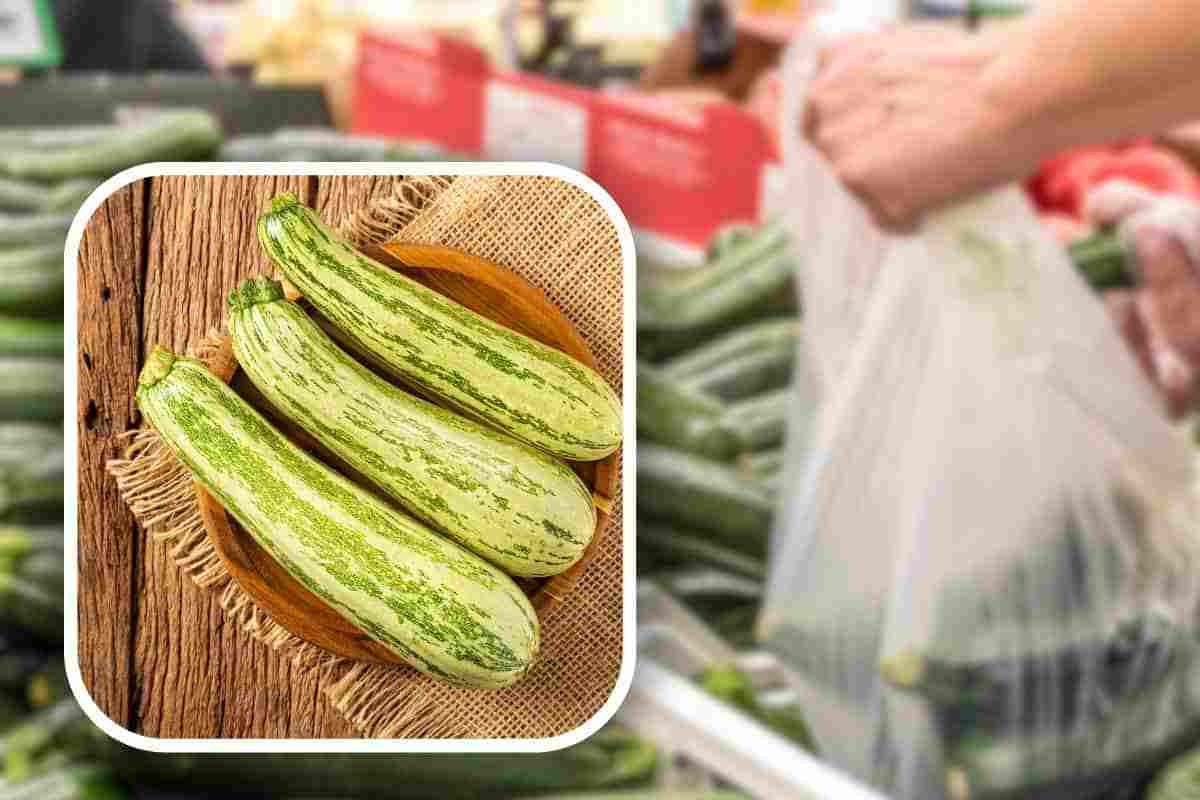 comprare zucchine dettaglio da notare