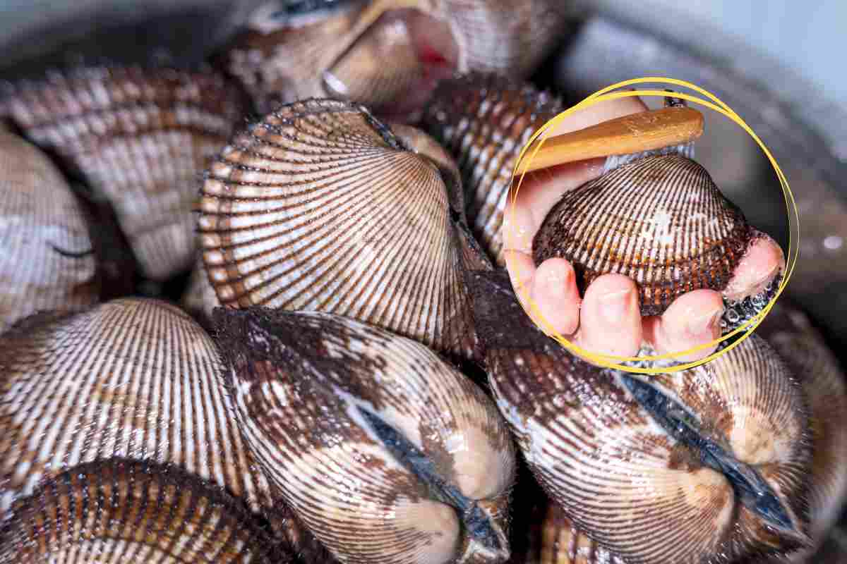 trucchetto eliminare sabbia vongole